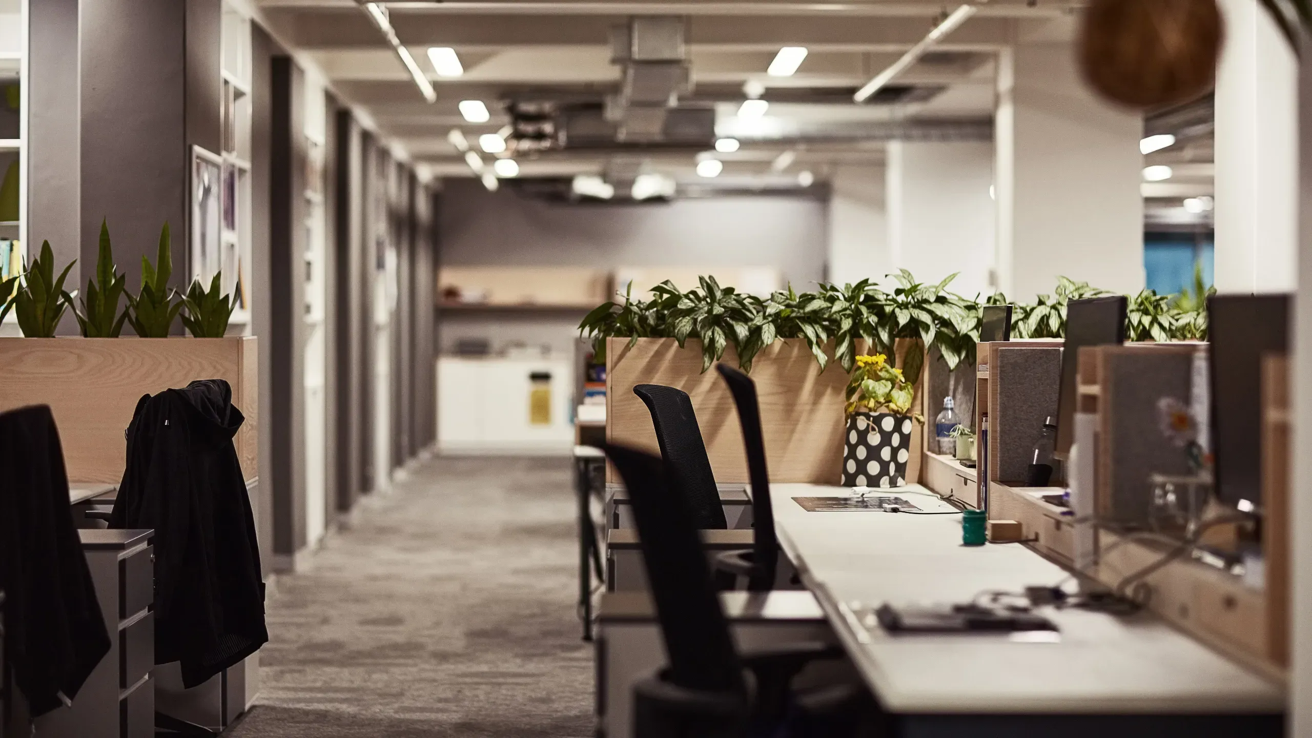 Offices preview image