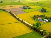 commercial land