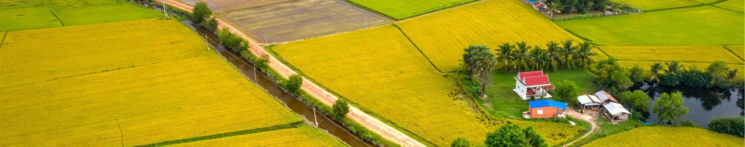 commercial land